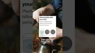 Microplastics in tea bags!