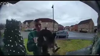 кот мяукает мем