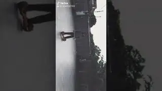 Tiktok(9)