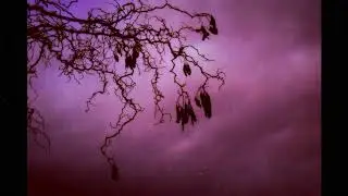 Fear - Dark Piano extended - Creepy ASMR Ambience, Rain and Thunderstorm sound