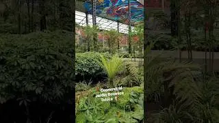 Cosmovitral Jardín Botánico Toluca, Estado de México 🇲🇽 #cosmovitral #Toluca #EdoMex #sulydorado