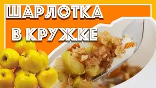 Шарлотка с яблоками за 5 МИНУТ БЕЗ ДУХОВКИ и яиц