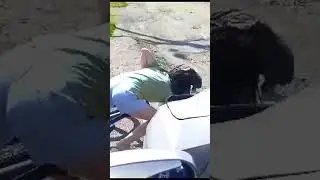 Велосипедист от Бога 