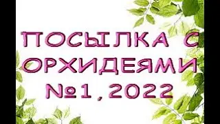 Ура:ПОСЫЛКА с ОРХИДЕЯМИ №1,сезон открыт!!!2022.