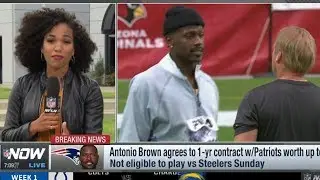 Antonio Brown agrees to Patriots deal after Raiders split