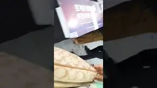 more a:sm clips (with absolutely no sense 😭) 
