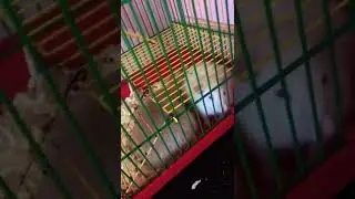 Малыши карандаши☺️ 