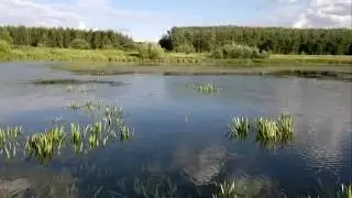 Вернулся в Россию. ЗАЧЕМ ?