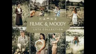 Filmic & Moody Video LUTs | Moody Video LUTs | Cinematic LUT | Film LUT | Video Preset | VN LUT