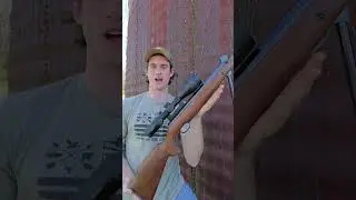 $60 vs $1,000 Break Barrel Air Rifle  