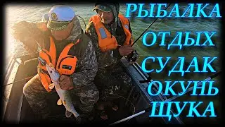 РЫБАЛКА И ОТДЫХ НА ОБСКОМ СУДАК ОКУНЬ ЩУКА  Ч 2