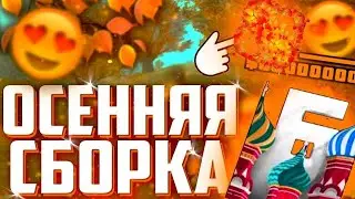 СОЧНАЯ ОСЕННЯЯ СБОРКА НА БАРВИХУ РП / СБОРКА БАРВИХА РП / 