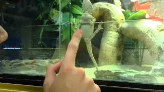 i'm in love with a fucking dragon