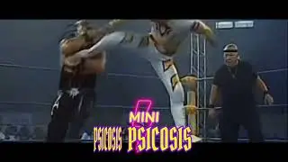 Theme Song - Mini Vipers AAA