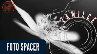 Jak fotografować zawilce - kurs fotografii 🔴Foto Spacer