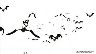Bats Flying to Funkytown 1 Hour