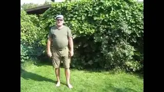 22 Pushup Challenge