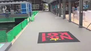 Narita Koi Farm Summer July 2017