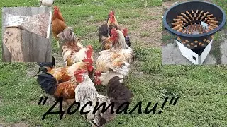 Перосъемная машина своими руками