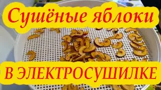 Сушёные яблоки в электросушилке. Как быстро посушить яблоки на зиму.