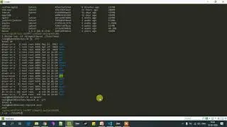 Volume in Dockerfile | Docker Commands | Data Persistency| Sharing of directories | Rahul Kinge