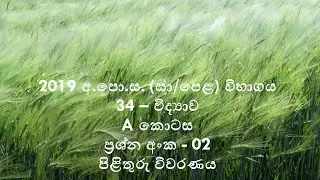2019 O/L Science Paper Answers - 02