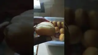 CIRI CIRI DONAT OVER PROFFING BUN JADI KEMPES GABALIK 😭😭😭 #shortvideo #baking #food #shortsfeed