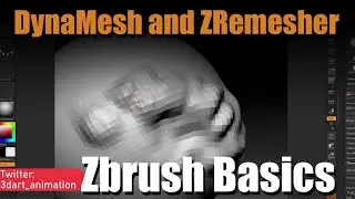 Subdivs, DynaMesh, ZRemesher / Zbrush Basics
