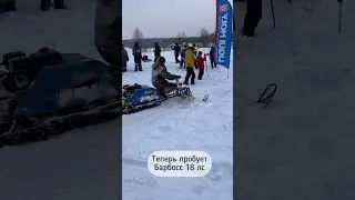 Царь горы! Мотособаки Barboss 15лс, Barboss 18 лс, Бурлак Немо