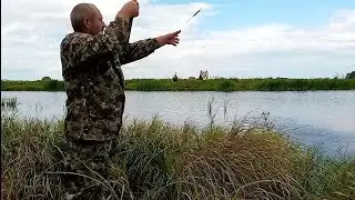 Наловили карасей/Новые полы у коров и Сено на земле