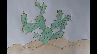 how to Draw a cactus step by step very easy