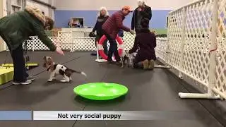 Best gifs compilation #15