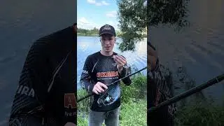 Akara Feeder Time — фидер для дальних дистанций! #fishing #рыбалка #shorts
