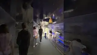 Подводная  лодка! Новосибирский комсомолец.