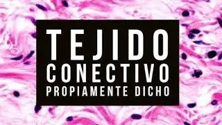 Hidrología Tejido Conectivo PARTE 2