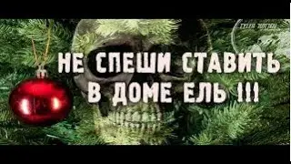 НЕ СПЕШИ СТАВИТЬ В ДОМЕ ЕЛЬ / забаненное видео!!!