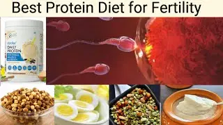 सही प्रोटीन खाएंगे तो गर्भधारण आसानी से होगा | Improves Egg Quality, Hormonal Imbalance #getpregnant