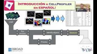 Introducción al Análisis de Imágenes con CellProfiler - ESPAÑOL!