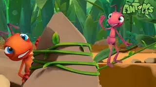 Tightrope🔴NEW EPISODE!!!🔴| Funny Cartoons For All The Family! | Funny Videos for kids | ANTIKS