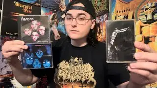 Collection Update #33 - CDs & Tapes 6/19/2023