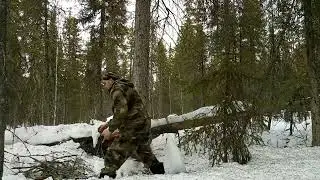 Дальний поход в лес , приготовления чая из снега