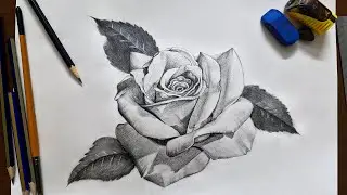 How To Draw And Shade Realistic Rose | Texture Drawing Tutorial