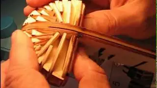 The 