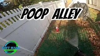 Washing Down POOP ALLEY! (Roof Cleaning Job)