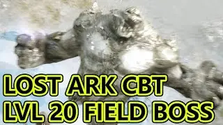 Lost Ark Online CBT Bard Level 20 Field Boss