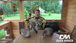 Обзор новой линейки гусиных чучел Duck Mania