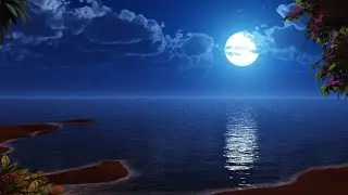 ERNX - Quiet Night