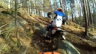 Копия видео "Кобылья голова)"