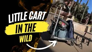 little cart in the wild