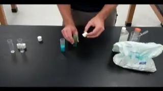 Drosophila Cultures